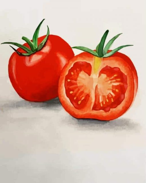 Tomatoes paint by numbers