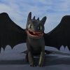 Toothless How to Train Your Dragon paint by numbers