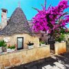 Trulli Italy Blossom paint by numbers