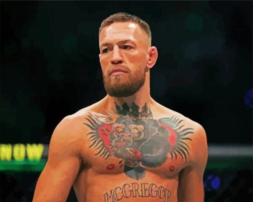 UFC Conor McGregor paint by numbers