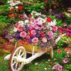 Wheelbarrow Full of Flowers paint by numbers