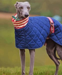 Whippet Dog paint by numbers
