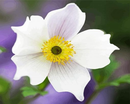 White Anemone paint by numbers