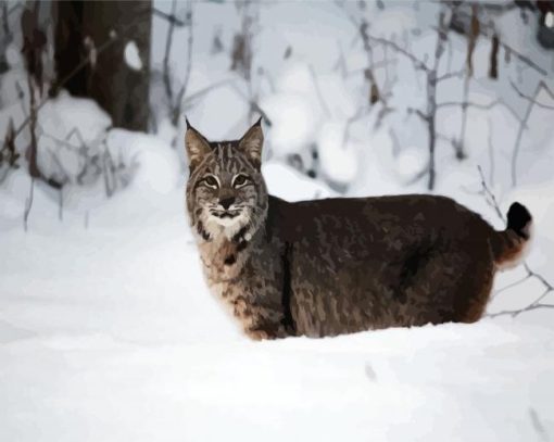 Wild Bobcat In The Snow Paint By Number