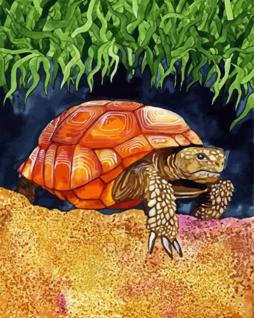 Wild Tortoise paint by numbers