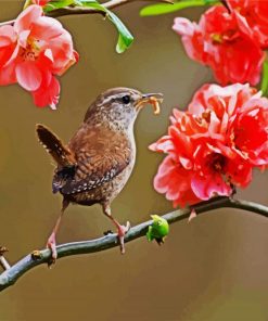 Wren On Flowers Branch paint by numbers