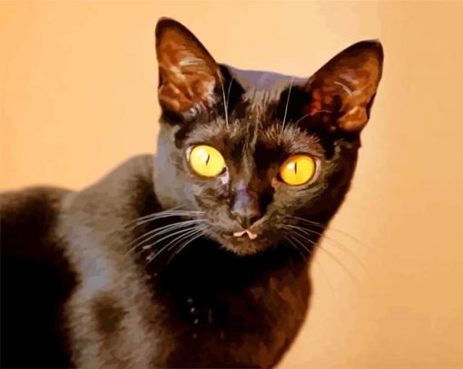 Yellow Eyed Bombay Cat paint by numbers
