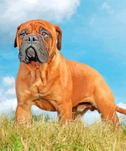 Aesthetic Bullmastiff paint by numbers