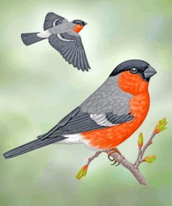 Aesthetic Eurasian Bullfinches paint by numbers