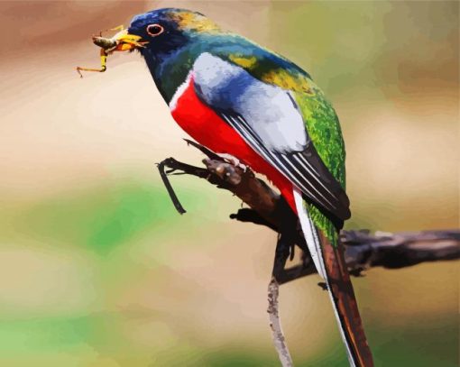 Aesthetic Trogon paint by numbers