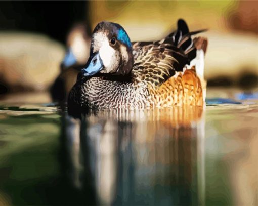 Aesthetic Wigeon Paint By Number
