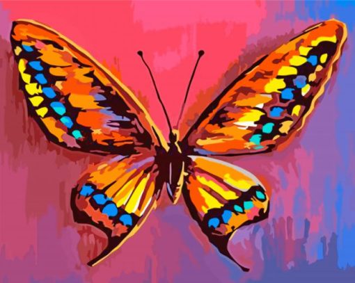 Aesthetic Colorful Butterfly paint by numbers