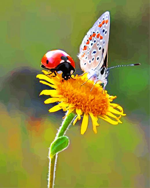 Aesthetic Ladybug and Butterfly paint by numbers