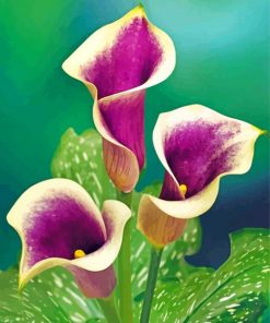 Aesthetic Purple Cala Lilly paint by numbers