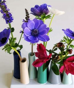 Anemones Vases paint by numbers