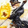 Sabo One Piece Paint By Number