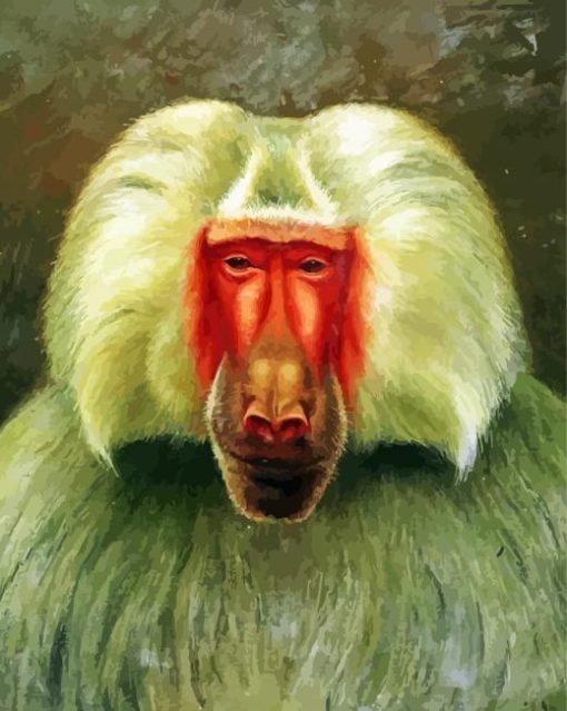 Baboon Art paint by numbers