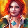 The Beautiful Witcher Triss Paint By Number