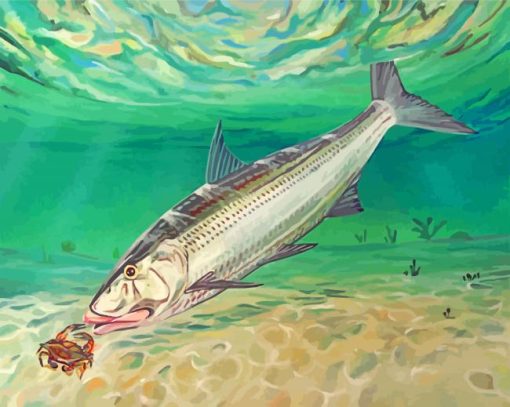 Bonefish Eating Crabs paint by numbers