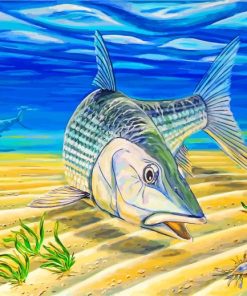 Bonefishes Art paint by numbers