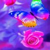 Colorful Butterfly With A Rose Paint By Number
