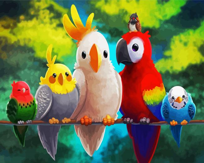 Cute Colorful Birds Paint By Number
