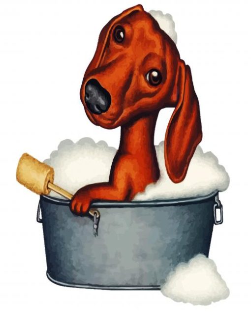 Dachshund In Bath Paint By Numbe