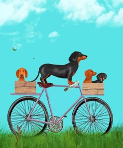 Dachshunds On Bicycle Paint By Number