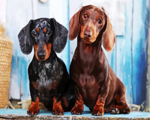 Dachshunds Puppies paint by numbers