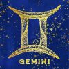 Gemini Zodiac Sign Paint By Number