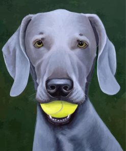 Grey Weimaraner Dog Paint By Number