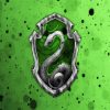 Hogwarts Harry Potter Slytherin Paint By Number