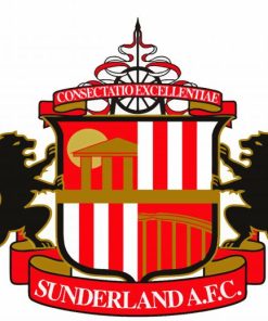 Sunderland AFC Logo Paint By Number