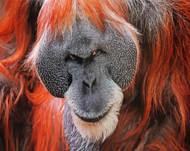 Mad Orangutan Paint By Number