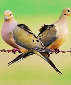 Mourning doves Paint By Number