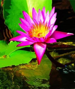 Pink Water lily paint by numbers
