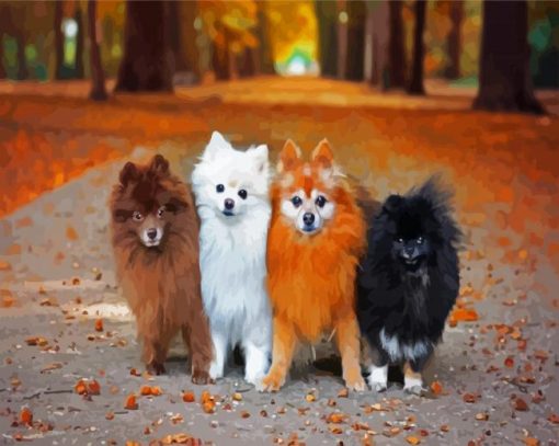 Pomeranian Puppies Dogs paint by numbers