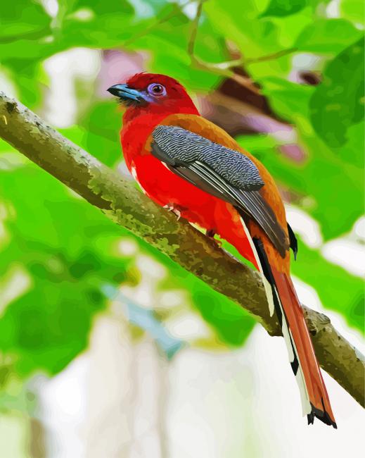 Red Trogon In A Tree Paint By Number