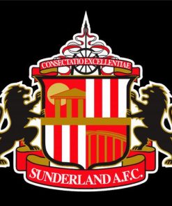 Sunderland A F C Logo paint by numbers
