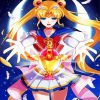 Tsukino Sailor Moon Hero Paint By Number