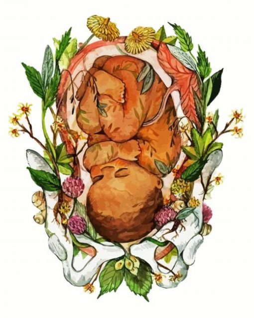 Unborn Baby Illustration Paint By Number