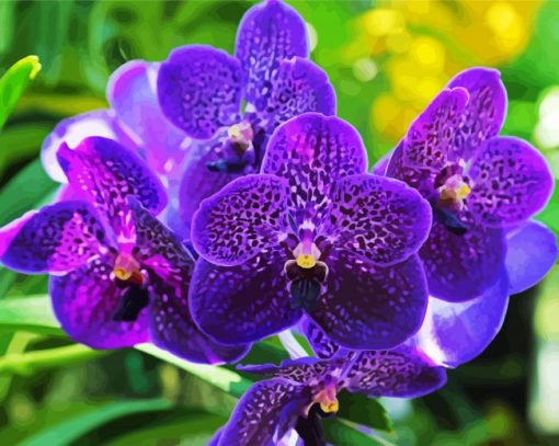 Vanda Orchid paint by numbers