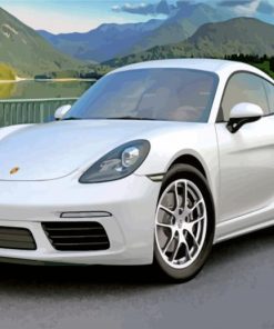 White Porsche Car paint by numbers