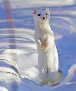 White Weasel Paint By Number