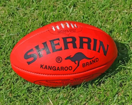 AFL Ball Paint By Number