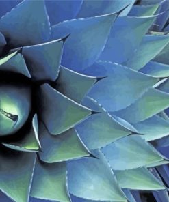 Agave Plant Paint By Number