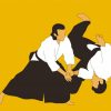 Aikido Sport Paint By Number