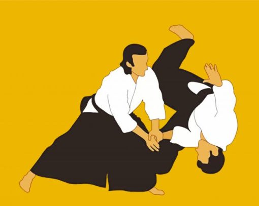 Aikido Sport Paint By Number