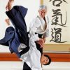 Aikido Martial Art Paint By Number