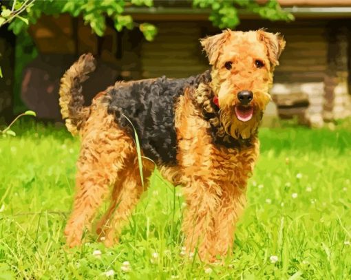Airedale Terrier Dog Breed Paint By Number